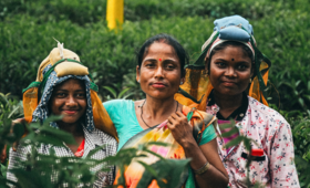 women are not just survivors but pivotal actors in climate change solutions. 
